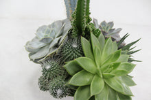 Load image into Gallery viewer, Succulent Dish Garden