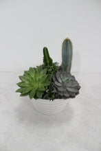 Load image into Gallery viewer, Succulent Dish Garden