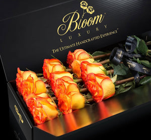 Bloom Luxury - High Magic Roses