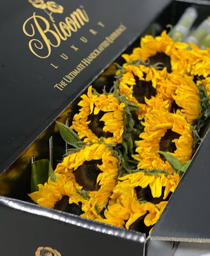 Bloom Luxury - Sunflowers