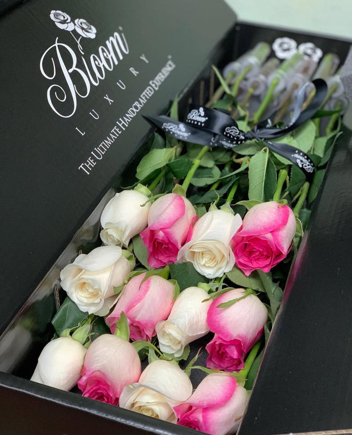 Bloom Luxury - Pink & White Roses