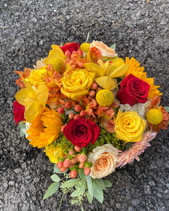 Norma's Elegant Autumn 